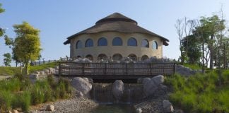 Top 5 Reasons to Visit Dubai Safari