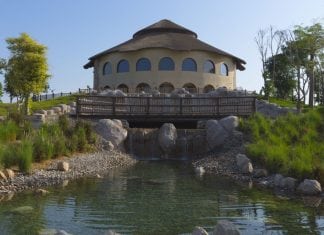 Top 5 Reasons to Visit Dubai Safari