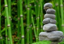 Neuroscientists Get at the Roots of Pessimism