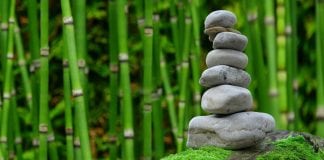 Neuroscientists Get at the Roots of Pessimism