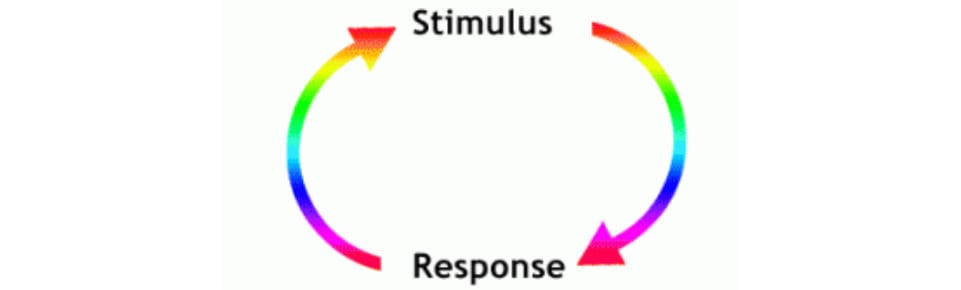 stimulus-responce