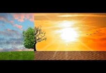 UAE Climate Tech Calls for Action to Transform, Decarbonize and Future-Proof Economies