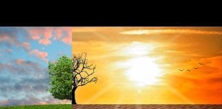 UAE Climate Tech Calls for Action to Transform, Decarbonize and Future-Proof Economies