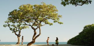 Four Seasons Seeks Partnerships with World’s Most Passionate Travellers, Creative Storytellers
