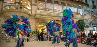 Best DSF Offers and Entertainment for All Families