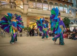 Best DSF Offers and Entertainment for All Families