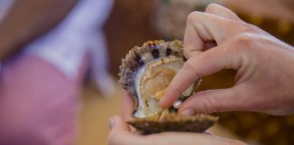 Yas Island launches ‘Serdal Pearl Diving Expedition’