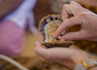 Yas Island launches ‘Serdal Pearl Diving Expedition’