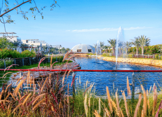 The Sustainable City hosts ‘Greener Living’ festival
