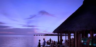 Choosing the Right Location for Nightclubs and Restaurants in Dubai