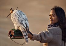 Gwyneth Paltrow, Kate Hudson and Zoe Saldana Star in Dubai’s “A Story Takes Flight”