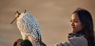 Gwyneth Paltrow, Kate Hudson and Zoe Saldana Star in Dubai’s “A Story Takes Flight”