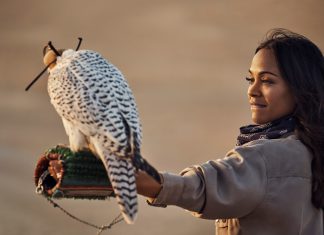 Gwyneth Paltrow, Kate Hudson and Zoe Saldana Star in Dubai’s “A Story Takes Flight”