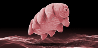 New Discovery: Bacteria-Eating LUNA Bug Living In Your Face