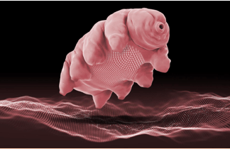 New Discovery: Bacteria-Eating LUNA Bug Living In Your Face