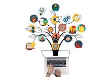 How Brands Can Survive COVID-19 Crisis