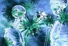 COVID-19: The Immune System Can Fight Back