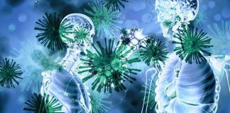 COVID-19: The Immune System Can Fight Back