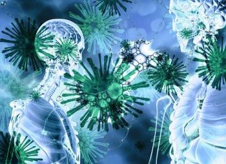 COVID-19: The Immune System Can Fight Back