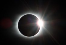 Coronavirus & Economic Crisis: 3 Possible Paths Forward