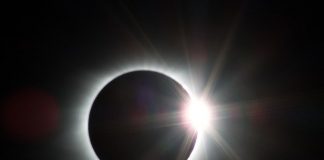 Coronavirus & Economic Crisis: 3 Possible Paths Forward