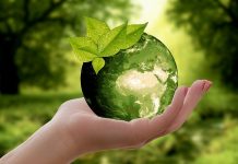 Coronavirus Pandemic Will Drive Responsible Investing ‘Skywards’