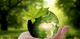 Coronavirus Pandemic Will Drive Responsible Investing ‘Skywards’