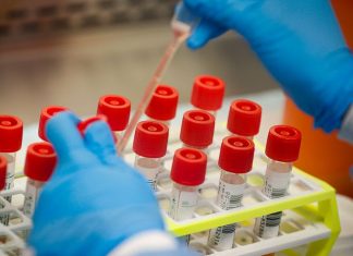 Dubai Announces UAE’s First Full Genome Sequencing of COVID-19 Virus