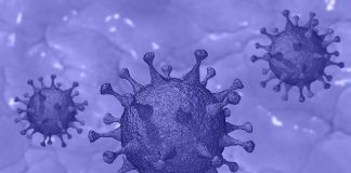 COVID-19: Top Four Science Stories Of The Week