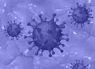 COVID-19: Top Four Science Stories Of The Week