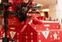 Stollen Charity Cake Sale This Weekend at MOE