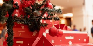 Stollen Charity Cake Sale This Weekend at MOE