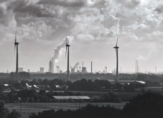 MENA Region Holds Strong Potential for Low and Zero-Carbon Sources of Energy
