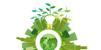 80% of GCC Consumers are Willing to Live More Sustainably