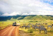 Emirati Travel Trends For Spring Break 2021 Travel Trends For Spring Break 2021