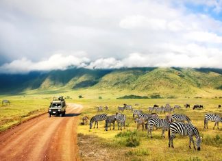 Emirati Travel Trends For Spring Break 2021 Travel Trends For Spring Break 2021