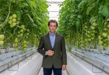 Al Dahra BayWa Rolls Out to UAE Markets its First Harvest of The Year Al Dahra BayWa, a leading UAE-based sustainable agribusiness company