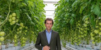 Al Dahra BayWa Rolls Out to UAE Markets its First Harvest of The Year Al Dahra BayWa, a leading UAE-based sustainable agribusiness company