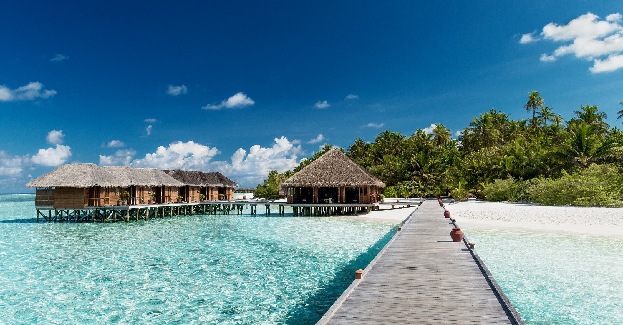 Tropical Beach With Water bungalows On The Maldives