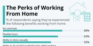 The Perks of Working From Home