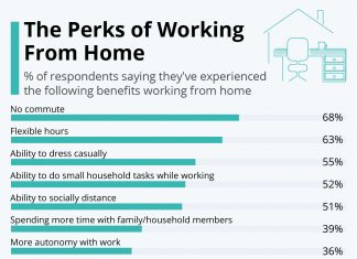 The Perks of Working From Home