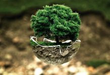 UAE Unveils Three Initiatives to Mark World Environment Day