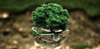 UAE Unveils Three Initiatives to Mark World Environment Day