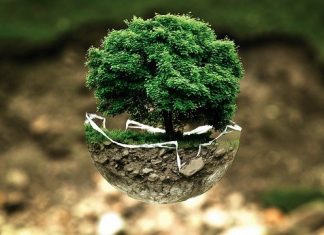 UAE Unveils Three Initiatives to Mark World Environment Day