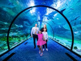 The National Aquarium, Abu Dhabi’s much anticipated landmark, will open this Friday, 12th of November at 10am.