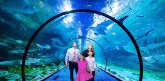 Abu Dhabi Welcomes Middle East’s Largest Aquarium – The National Aquarium The National Aquarium, Abu Dhabi’s much anticipated landmark, will open this Friday, 12th of November at 10am.