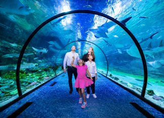 Abu Dhabi Welcomes Middle East’s Largest Aquarium – The National Aquarium The National Aquarium, Abu Dhabi’s much anticipated landmark, will open this Friday, 12th of November at 10am.