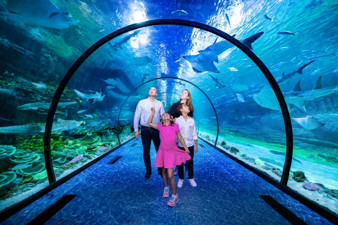 The National Aquarium, Abu Dhabi’s much anticipated landmark, will open this Friday, 12th of November at 10am.