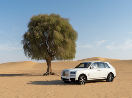 Celebrating UAE’s Golden Jubilee,Abu Dhabi Motors Reveals ‘Cullinan 50th’