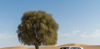 Abu Dhabi Motors Reveals ‘Cullinan 50th’ Celebrating UAE’s Golden Jubilee,Abu Dhabi Motors Reveals ‘Cullinan 50th’
